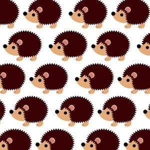 Meet your Posher, Zoe